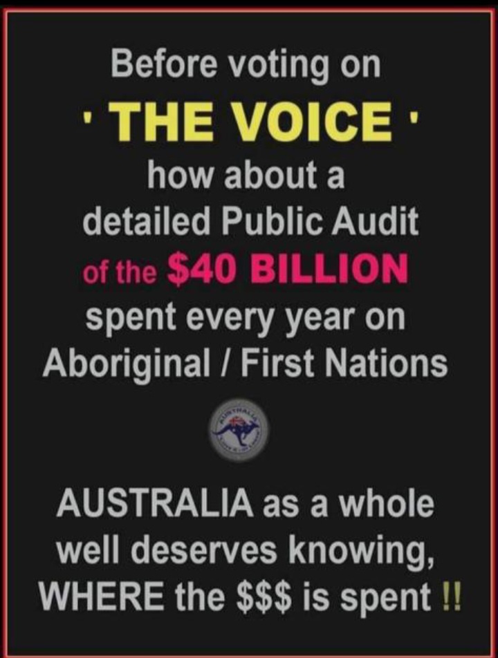 This sounds fair and reasonable. Royal Commission before any referendum. 
#VoteNoAustralia 
#VoteNo 
@AlboMP 
@LindaBurneyMP