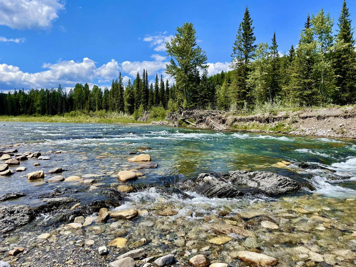 tcdixon3's tweet photo. Bragg Creek Provincial Park provides a quiet spot along the Elbow River to enjoy and connect with the land. An overlooked gem that’s right in Calgary’s backyard.
#ABparks #ABparksAmbassador #ExploreFoothills #BraggCreek #SeekersAmbassador #ExploreAlberta https://t.co/wDIXYoEWgn