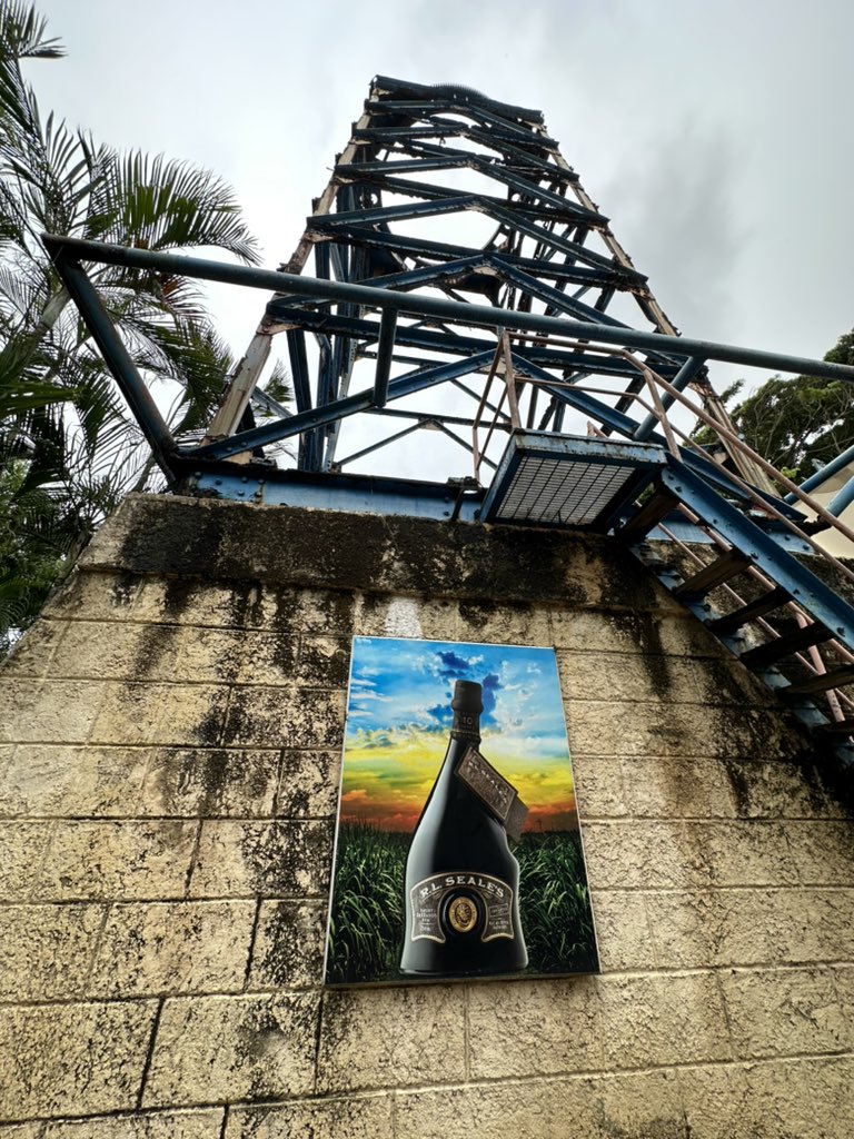 RumReviews's tweet image. Toured the @FoursquareRum distillery in #barbados today and sampled some amazing #rum 

@FoursquareUSA @foursquare_rum @FLRumSociety
