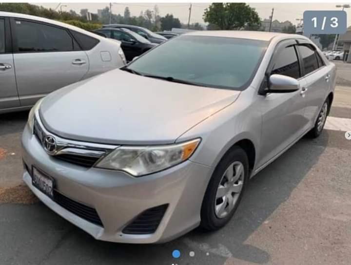 Missing Persons Planet tweet media