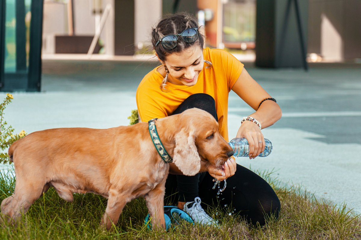 As it continues to heat up this weekend, staying cool and hydrated is important. We support a statewide network of <a href="/PhxSalArmy/">Salvation Army PHX</a>'s  cooling and hydration stations with 18 sites throughout Arizona, many of which are dog friendly. Learn more at aps.com/summer.