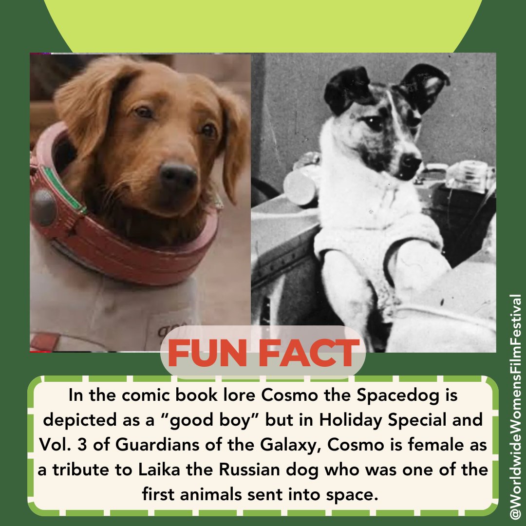 WWFilmFestival's tweet photo. In the comic book lore Cosmo the Spacedog is depicted as a “good boy” but in Holiday Special and Vol. 3 of Guardians of the Galaxy, Cosmo is female as a tribute to Laika the Russian dog who was one of the first animals sent into space.
#Funfact #Cosmo #Cosmothespacedog #Laika https://t.co/DvsaoGKL5i