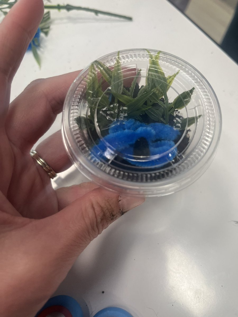 Chantal Chapin tweet media