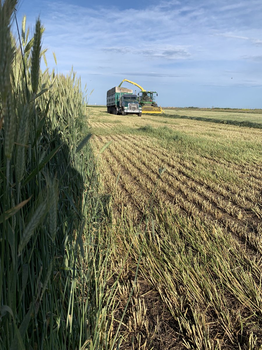 Matt Slingerland tweet media