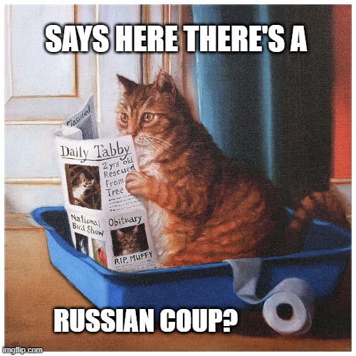#NAFOCatsDivision, is there a #RussianCoup happening? Catching up on the mews...