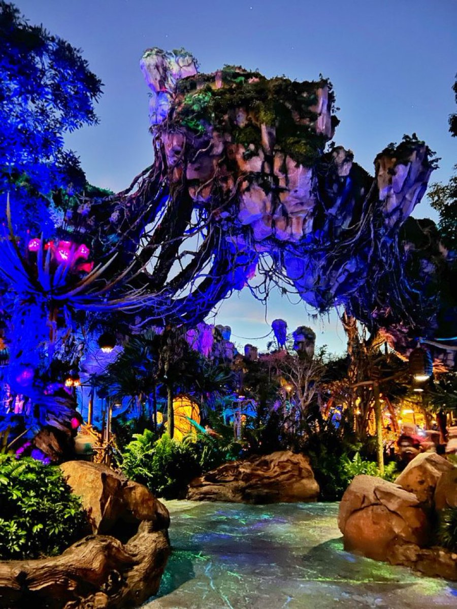 DisneyDoItAll! tweet media