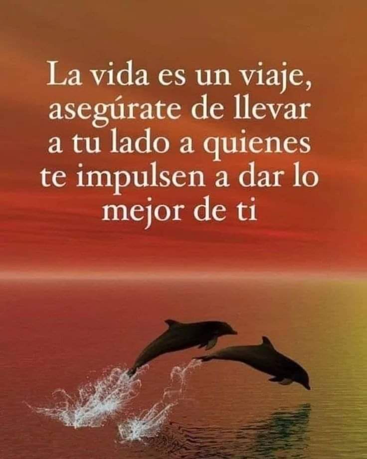 Buenas y bendecida noche.😘🙏🌃