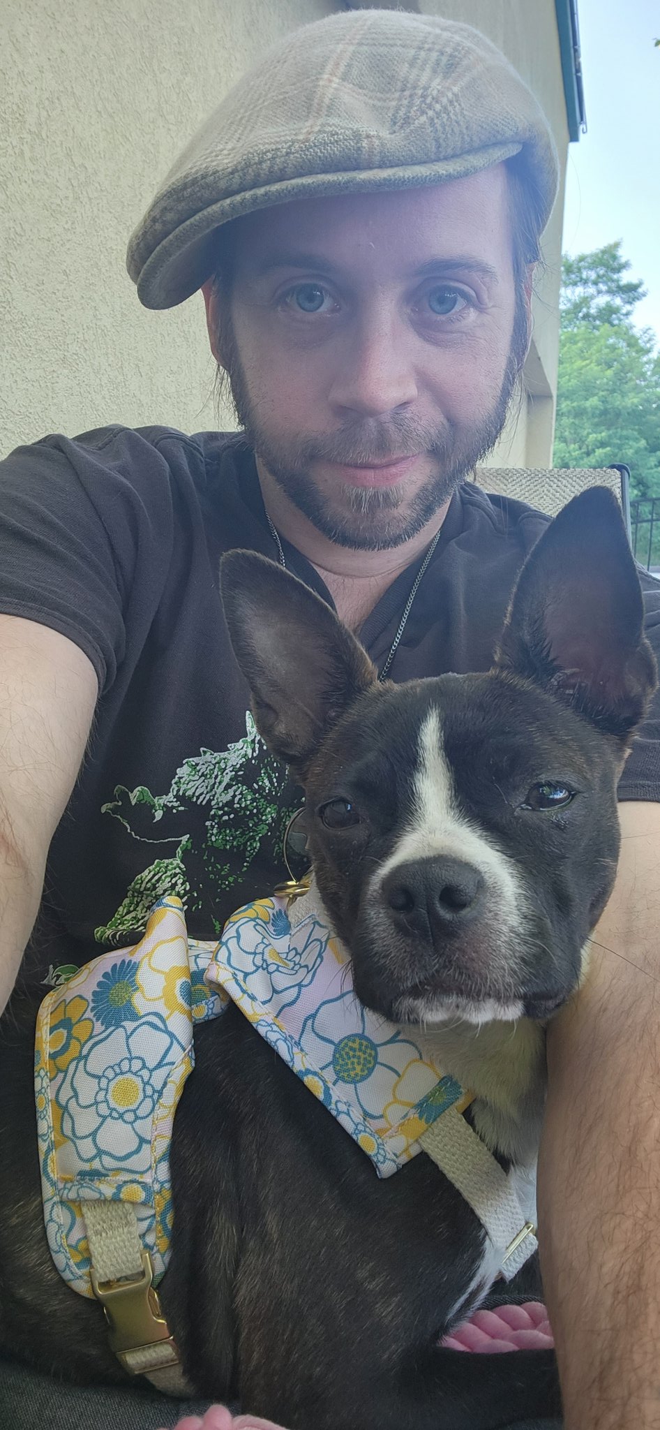 Old Hollow Tree on Twitter "The best dog names have two hard syllables