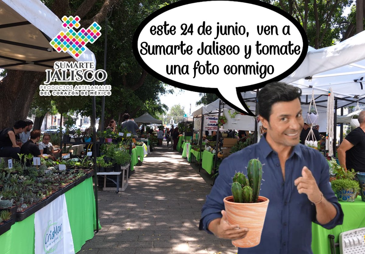 SumarteJalisco tweet media