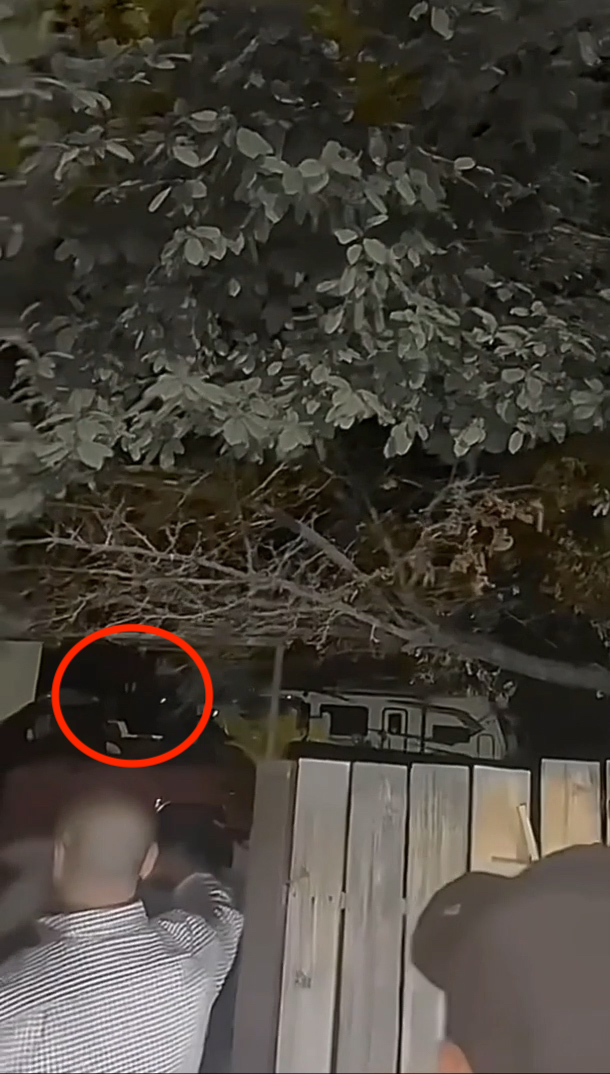TrackerOfTruth's tweet photo. Still shots from the Rumble video, Las Vegas Alien Sighting Backyard Video showing the light that can be seen early on in the video and possibly mistaken as a 'Creature" moving. Our investigation continues guys.. #TruthTracker #lasvegasaliens #LasVegasAlienSighting @DJOceans https://t.co/WXZEu2j0RL
