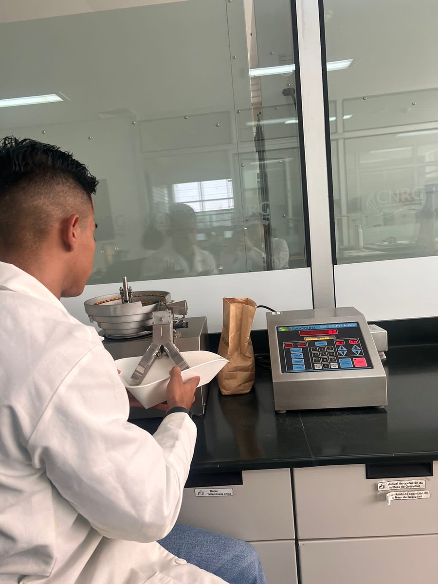 ECAPMAZAO's tweet photo. #Hoy el estudiante Jhonatan Hoyos del Semillero #SIAMAS nos comparte su experiencia de intercambio académico 🇲🇽 en el Inst. Nacional de Investigaciones Forestales, Agrícolas y Pecuarias, área de recursos Genéticos sección: semillas ortodoxas
#EmbajadorECAPMA_ZAO🌱
#MásUNAD💛🧡💙 https://t.co/bArbT50Bdi