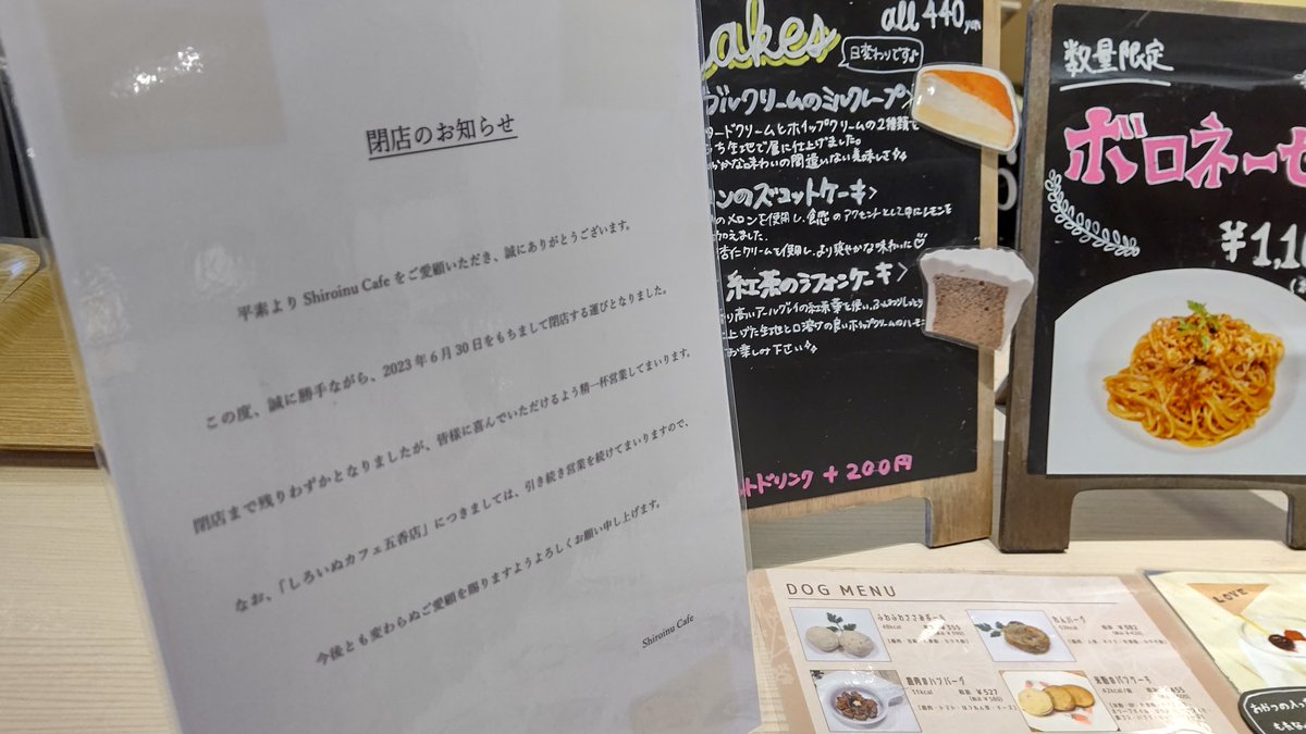 柏の葉T-SITEのShiroinu Cafeに行くのは今日が最後かなぁ 6月末閉店は悲しい😢