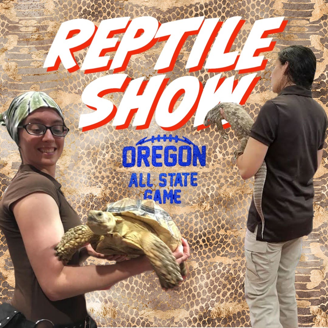 Tonights entertainment.... REPTILES!!

#OregonAllStateGame #OregonDHS #FosterFamilies #FosterChildren #Reptiles #Reptileshow