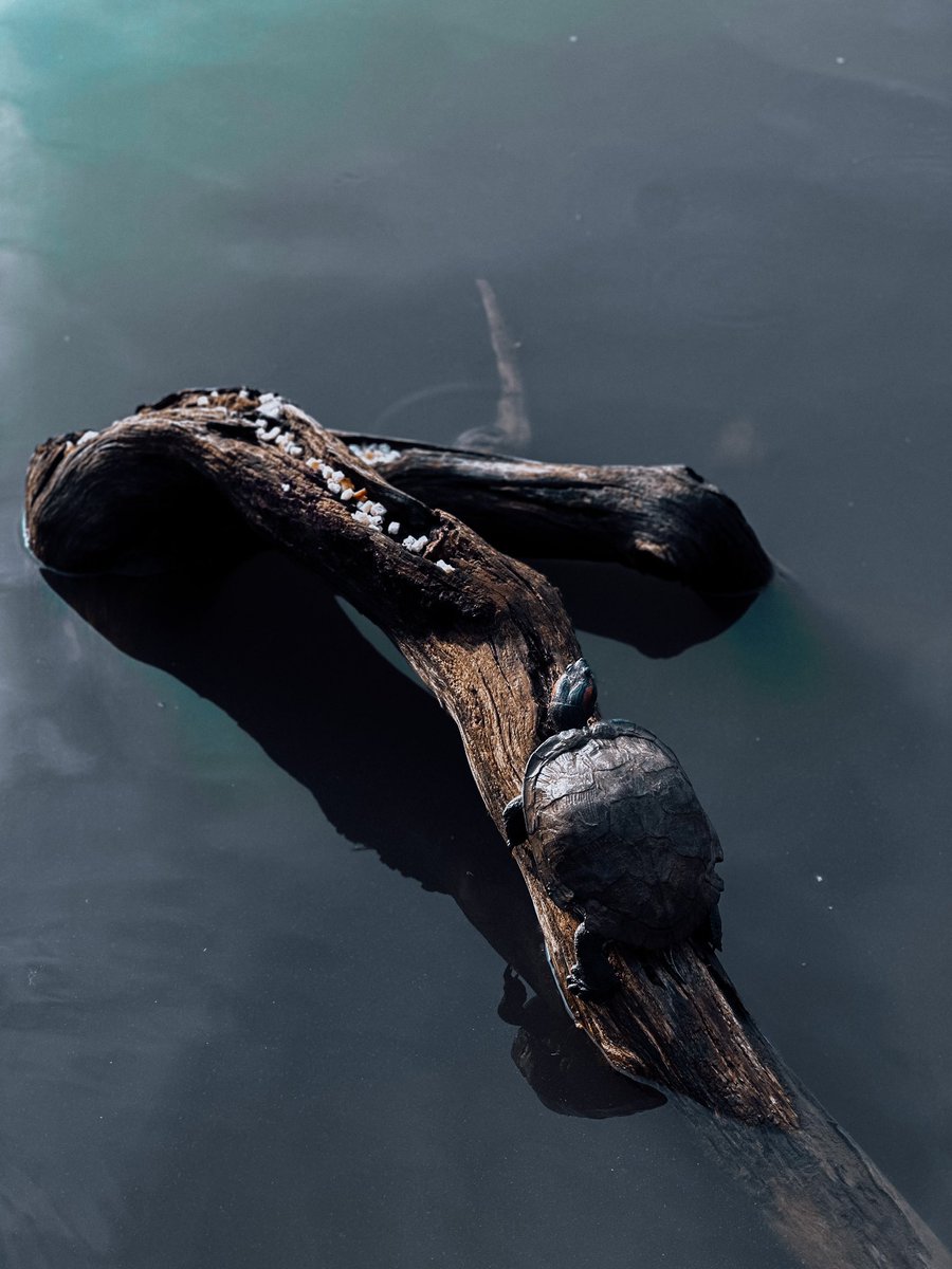 _xmyrvl's tweet image. Once in a while thing. #sweatout