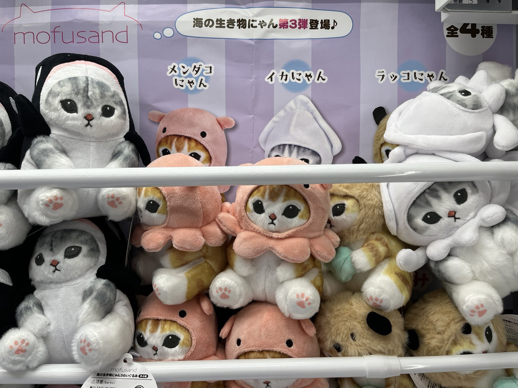 楽天市場]モフサンド ポケットファイル ジップファスナー付6ポケットA4