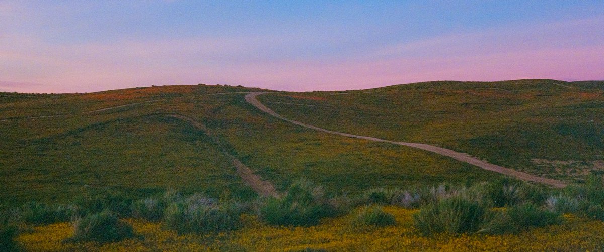 Eamon 🌃 tweet media