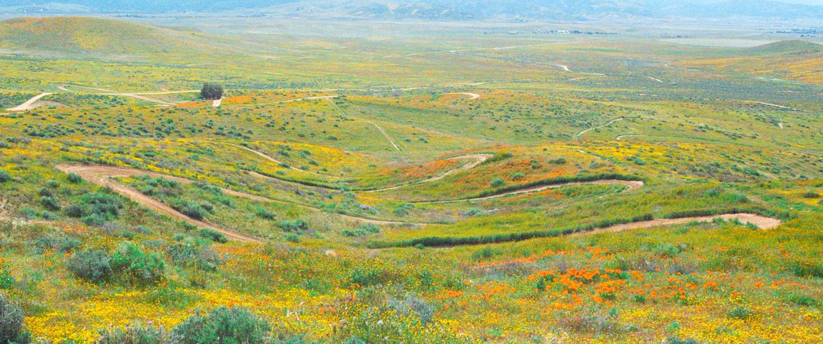 Eamon 🌃 tweet media