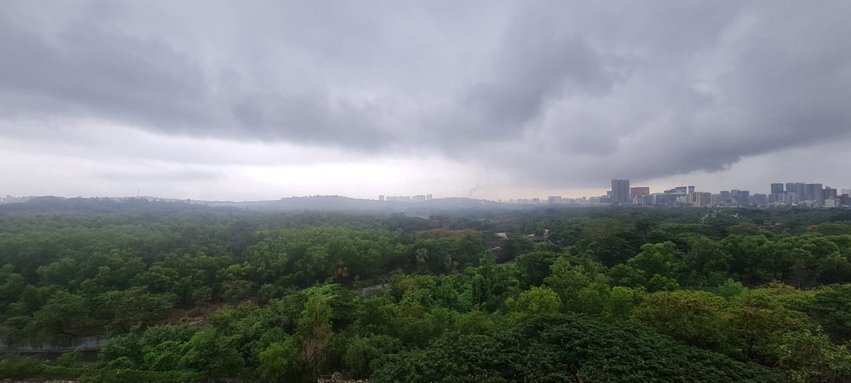 This is #AareyForest in Mumbai.

Help us save it.