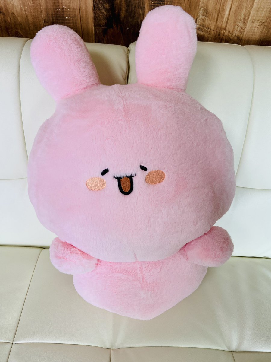 しまパト 報告をありがとうございます✨ SNSで大人気のあさみみちゃん