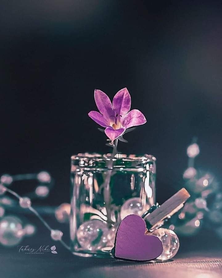 <a href="/safy561975/">safsaf</a> أويكفي أن أمسح بكفي على رأسك،
حتى آتيك فأخفف وطأة القهر
ما رأيُك أن تكوني كبنت شعيب،
فأسقي لك وبالقلب المتيم تظفر
وعندي من الأمثال الكثير لاسردها،
حتى تعودي بسؤلك فتتمني عليّ أكثر
لكن المقام لايكفي لألف ليلة و ليلة
و فوقها مديد العمر يحلو فيه العيش والسمر
#كاتب_الأمل_والحب