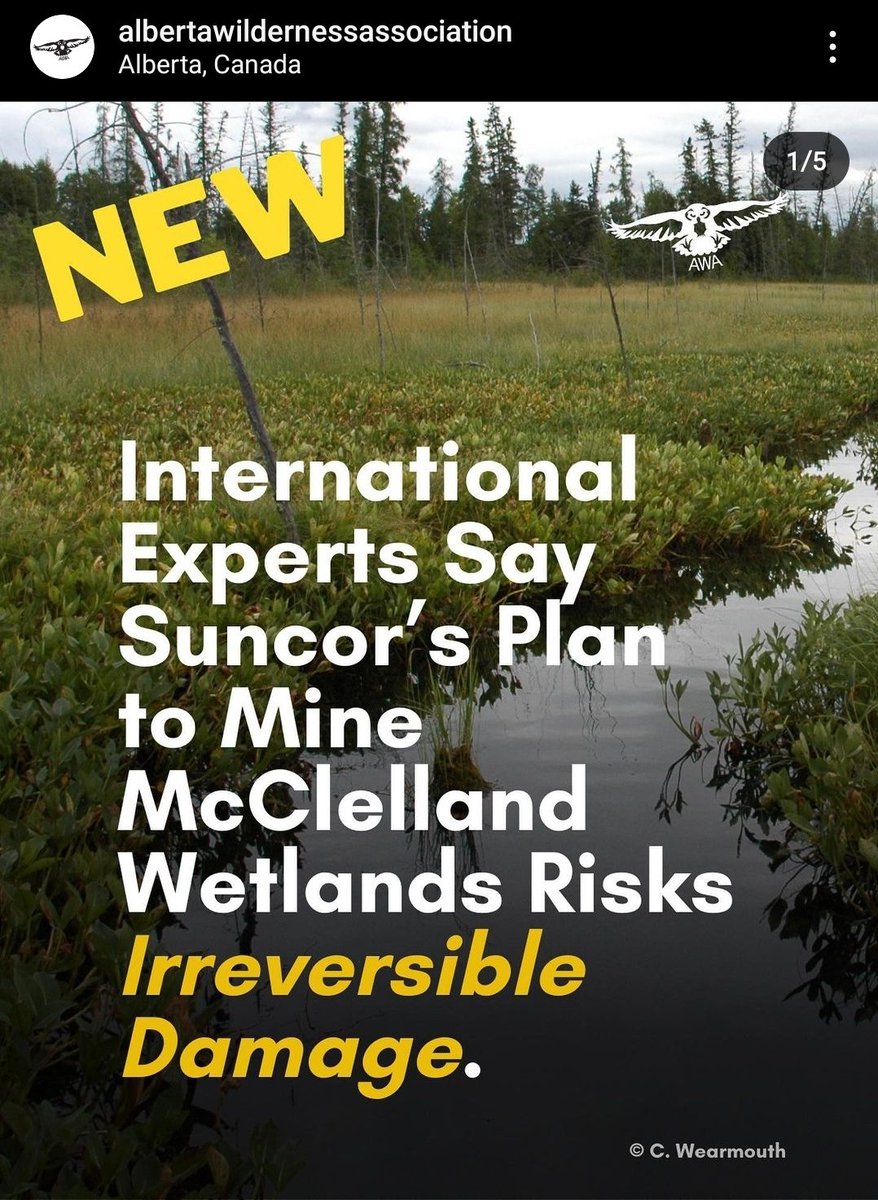 Megneato_'s tweet photo. You can help save this rare fen  at McClelland Wetlands. Suncor wants to expand its mine, but their plan should not have been approved b/c of risk to the surrounding area! Send a pre-filled email to Alberta Energy Regulator, or edit/ make it your own here: https://t.co/HigPaqNIbc https://t.co/XGMq7q9p6r