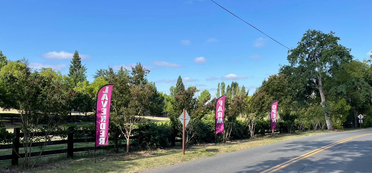 PlacerGROWN's tweet photo. One more weekend to explore Bywater Hollow Lavender Farm in Lincoln. Open 9 am to 1 pm Saturday, June 24 &amp; Sunday, June 25. https://t.co/CsFD9jhBLQ https://t.co/5JXvUVcjyW