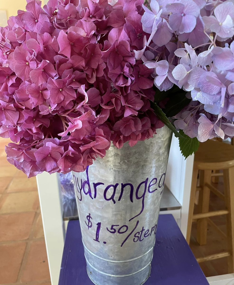 PlacerGROWN's tweet photo. One more weekend to explore Bywater Hollow Lavender Farm in Lincoln. Open 9 am to 1 pm Saturday, June 24 &amp; Sunday, June 25. https://t.co/CsFD9jhBLQ https://t.co/5JXvUVcjyW