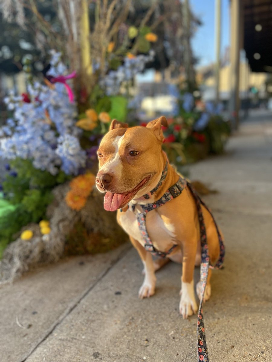 Brian Fuller tweet media