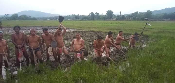 D Uphing Maslai tweet media
