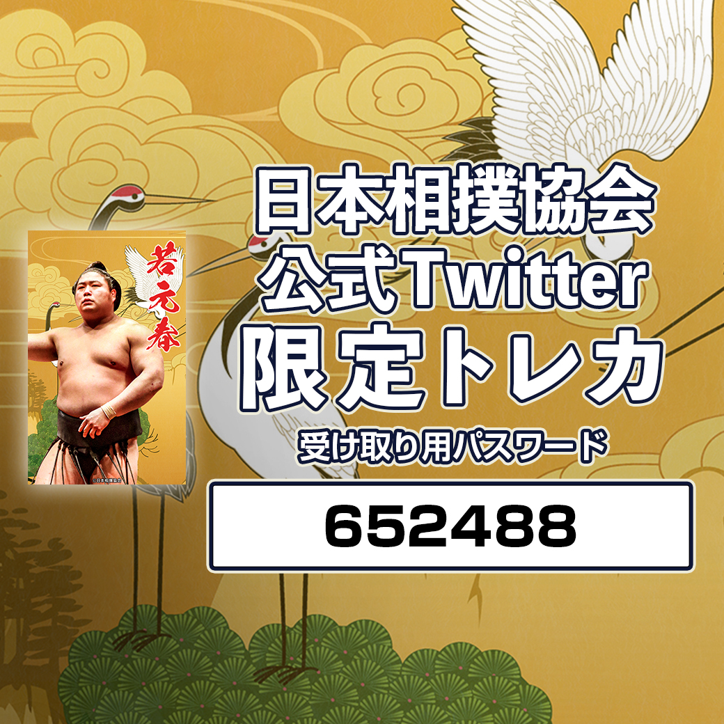 大相撲クレーン　若元春　こんなに立派になりましたマステ　ホログラム　ステッカー 大相撲クレーン 若元春 こんなに立派になりましたマステ