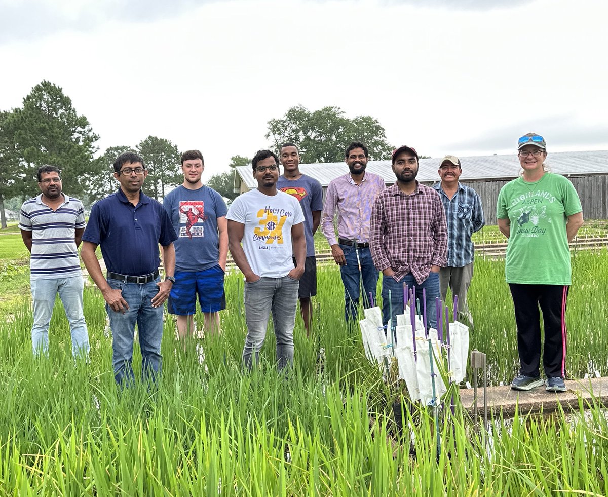 Gurjeet_AgSci's tweet photo. Summer #RiceCrossing started with a group picture of #StateRiceBreedingTeam @Beaumont Research Station, #Texas, ๐บ๐ธ.
Thanks God, for this opportunity to be part of such a highly motivated #RiceTeam.
#HappyEndingOfWeek
#StayTunedForUpdates
@TAMU @txresearch https://t.co/MzrtS3woF7