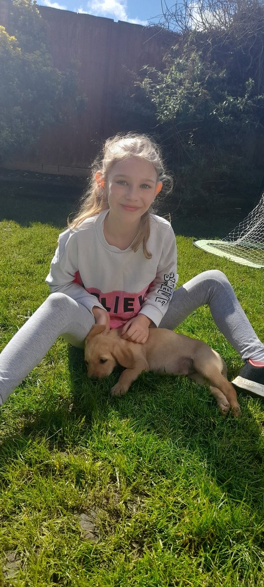 AliEtt01's tweet photo. This girl amazes me every day but today she smashed it...swimming 1000m in under 29 minutes...beyond proud to be her mum. https://t.co/eNWZRJBfvi
