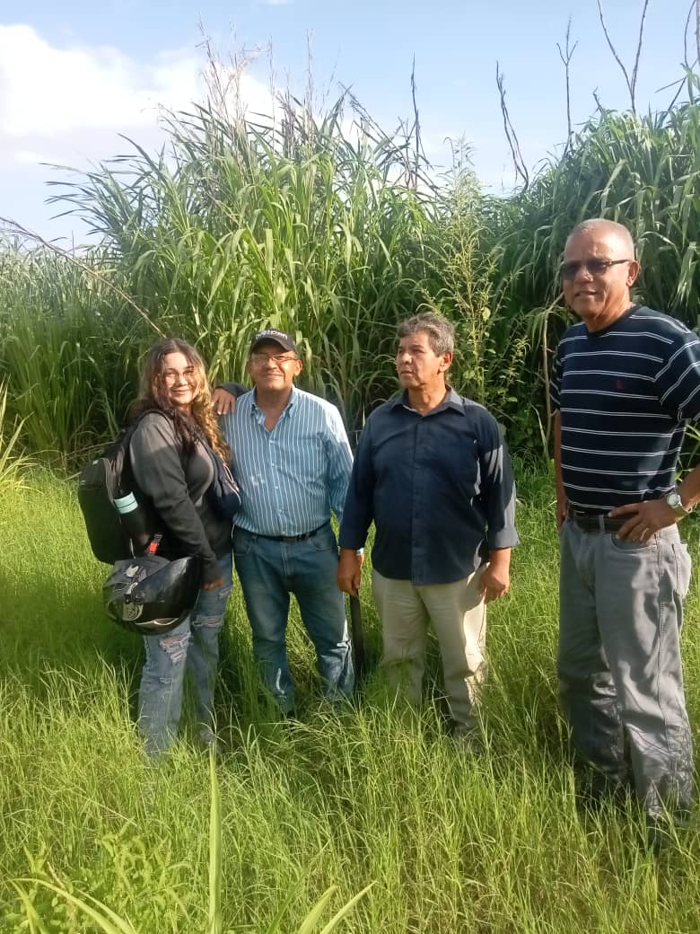 #23Jun Inspección Técnica en nuestro Terreno con los Arquitectos e Ingenieros del Proyecto Habitacional @CiudadCuyagua para avanzar con la Implementación del Proyecto en el municipio #MBI del estado #Aragua @NicolasMaduro @IMVillarroel1 @Zulyber_Carpio @GMVV_Aragua