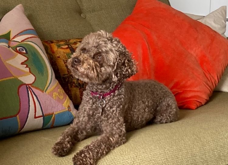 Maria McErlane💙 tweet media