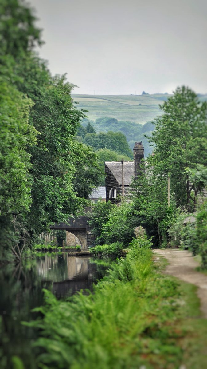 The Rochdale Canal in Todmorden as captured by our 12-year-old lad Bob Bluebell 😍