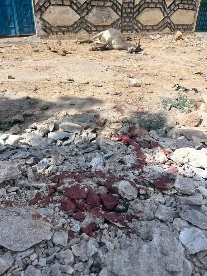 DirirSmael's tweet photo. Somalliland forces destroyed and have been targeted heavy weapons by indiscriminate shelling in Lasanod this morning and the whole world watching last 6 months thousands civilians have died and thousands been injured. https://t.co/zSI4bE0QNV