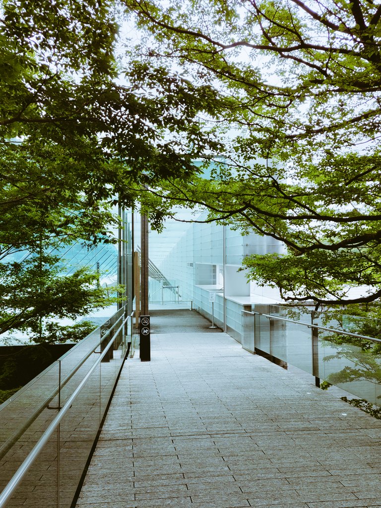 Office_monomora's tweet image. 箱根湯本より先に行ったのは多分30年ぶり！外国からの観光の方が超沢山👀‼️ #岡田美術館 &amp;amp; #ポーラ美術館  どちらも初訪。  いやいや貴重な作品ばかりでじっくり観ちゃって時間が足りない😱 行きのこだま号からほぼ満席でどこも混み混み～😆  お腹もペコペコ～！