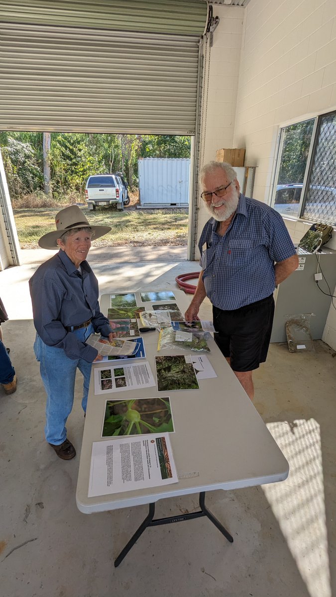 wildsurround's tweet photo. Local landholders gathered for a Siam Weed Awareness BBQ.  Burdekin Shire Council and Wildlife Surrounds presented facts about Siam Weed and demonstrated how to identify and control it.
#wildlifesurrounds #localcommunity #weedcontrol #workingtogether #supportlocal https://t.co/IyIJi8G5Ni