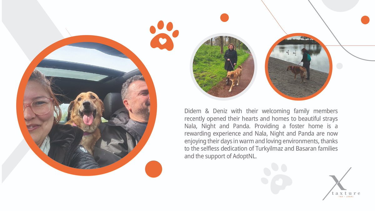 TaxtureGlobal's tweet photo. Taxture B.V. Employees Extend a Helping Paw to Stray Animals 

#sustainability #solidarity #adoptdontshop #bethechange #taxtureteam #caringforourplanet #makingadifference https://t.co/2sXNwLnq4k