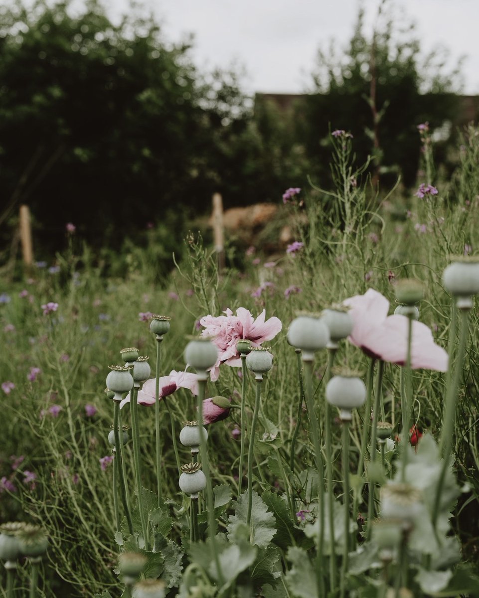 Kate Cullen Coaching & Photography tweet media