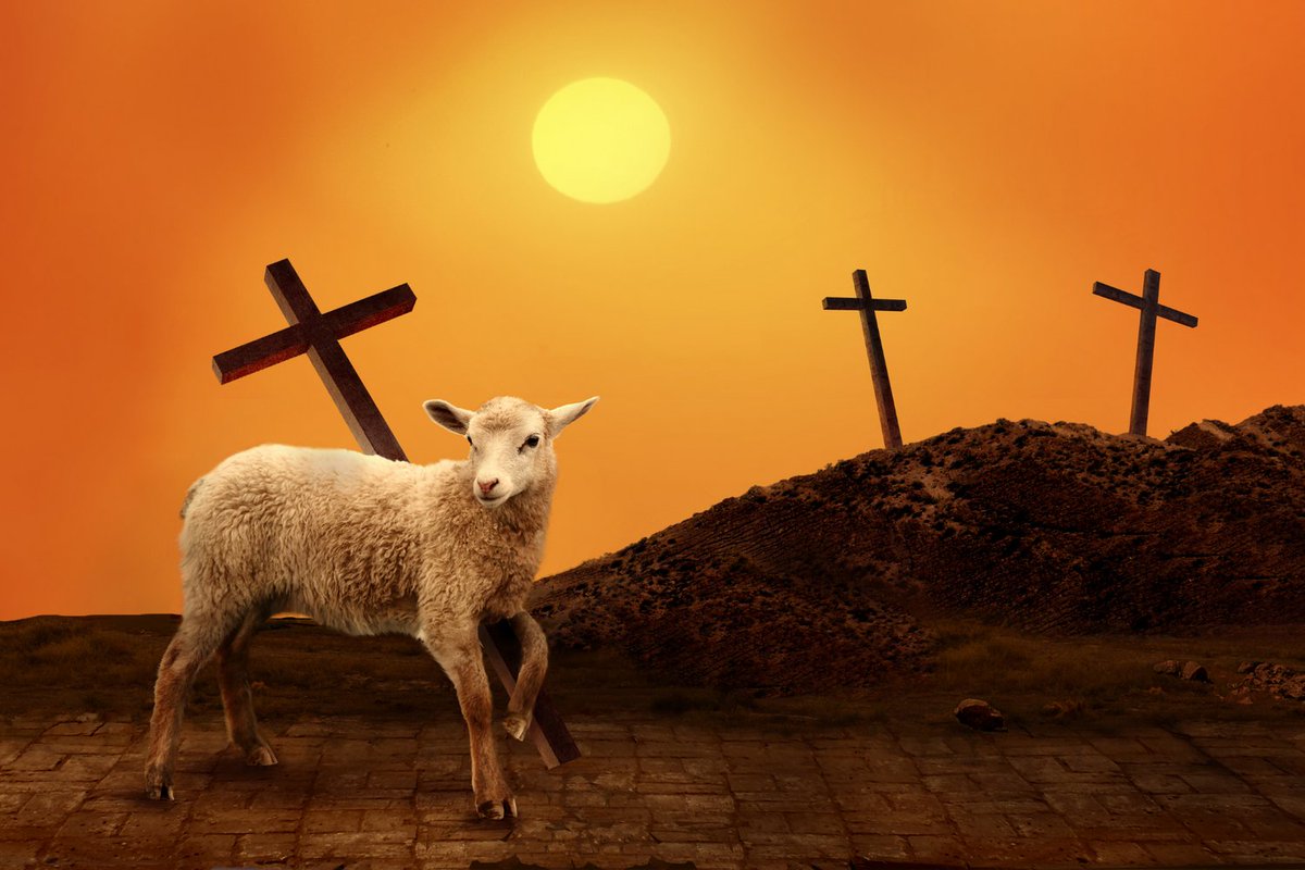 'Behold, the Lamb of God, who takes away the sin of the world!' - #GospelofJohn 1:27

Today (June 24) is the #Solemnity of the Nativity of Saint John the Baptist. #HappyFeastDay

📷 The Lamb of God / © TanyaSid / #GettyImages. #Catholic_Priest #CatholicPriestMedia