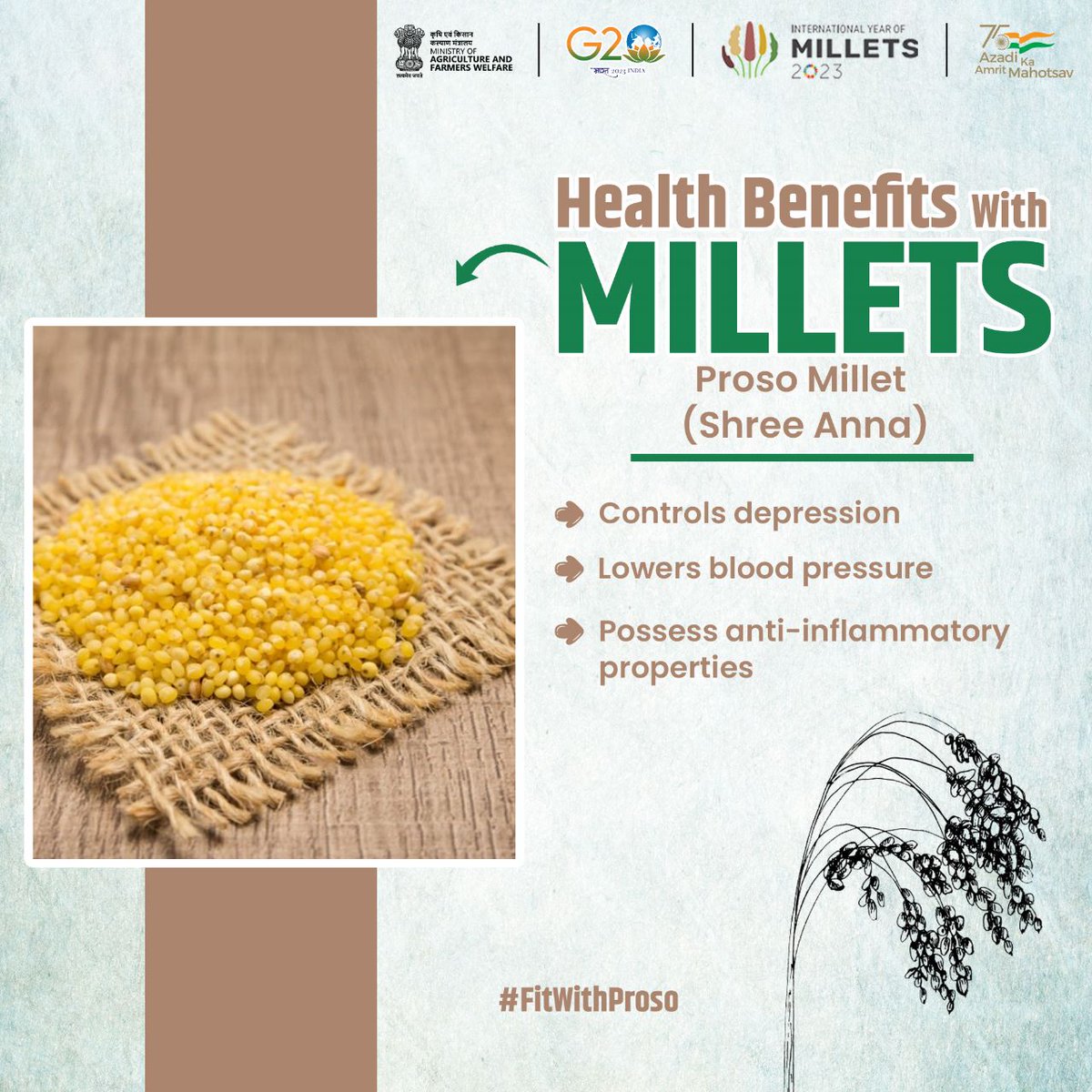 In the pink of your health with Proso!

Proso Millet helps control depression, lower blood pressure and possess anti-inflammatory properties to keep you fit and healthy.

#IYM2023 #YearofMillets #ShreeAnna 
@RajniKant_832 @NykGonda