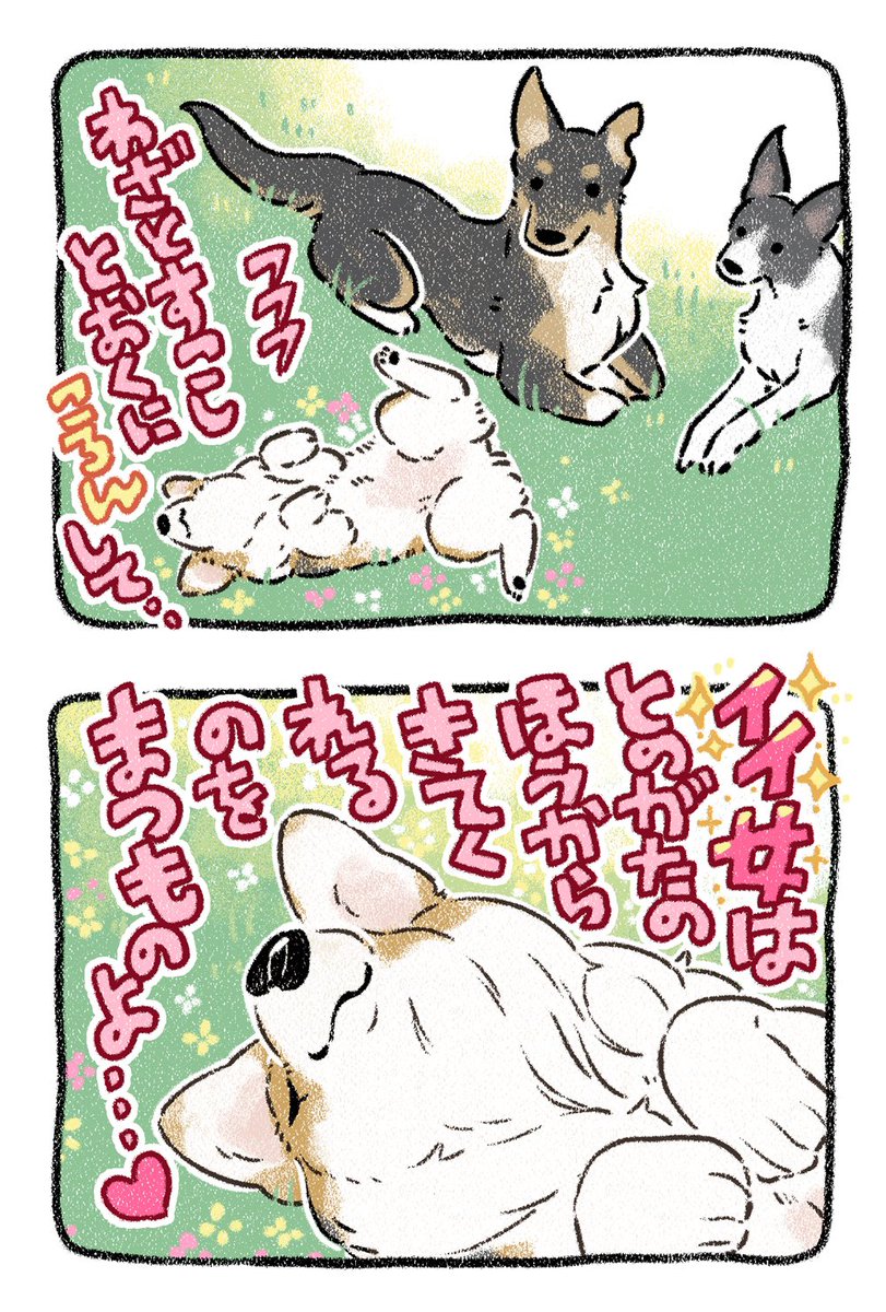 🌹熟女の誘惑【もっっっふわぁ】 #漫画が読めるハッシュタグ #コーギー #犬 #ブログ