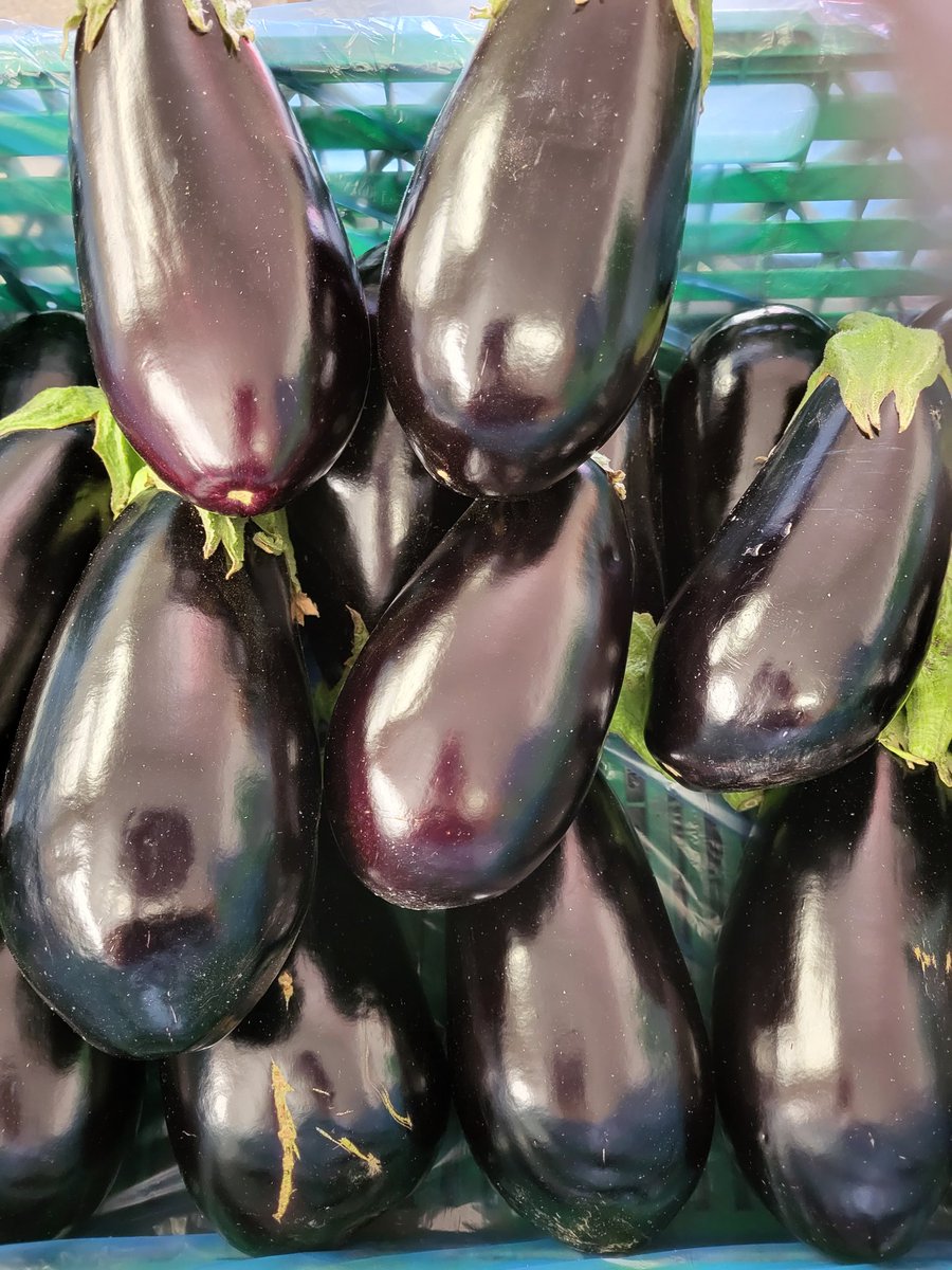 Riverdaleorganicfarm (@riverdaleorgfm) on Twitter photo It's been so very hot in the tunnels, awful to work in but our organic aubergine love it. First of the season. Summer is here. <a href="/partridgesfoods/">Archived | Partridges Market</a> <a href="/weheartldnblog/">DukeOfYorkSquare</a> It's been so very hot in the tunnels, awful to work in but our organic aubergine love it. First of the season. Summer is here. <a href="/partridgesfoods/">Archived | Partridges Market</a> <a href="/weheartldnblog/">DukeOfYorkSquare</a>