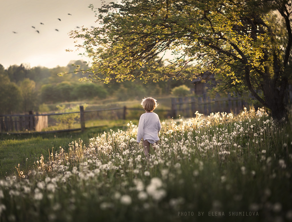 under the apple tree.. by Elena Shumilova