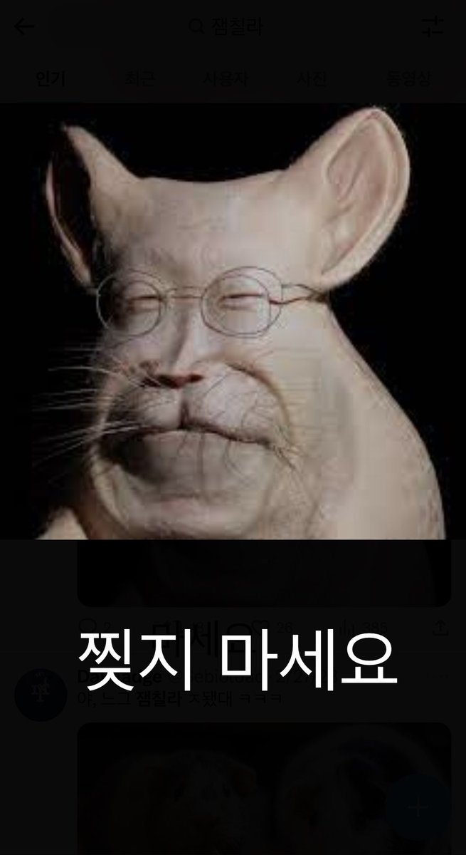 오늘 이후로 더 분명하게 보일 듯
맹수와 설치류의 차이가