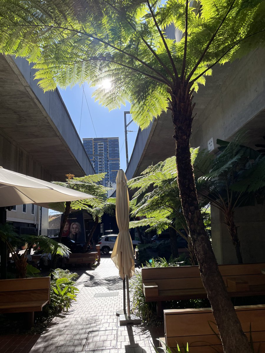 Sam MacAulay tweet media