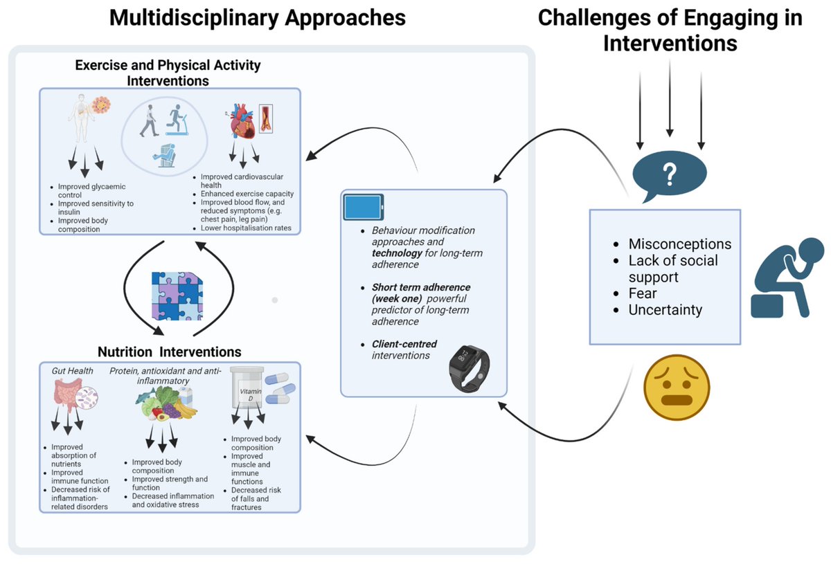 nick_krontiris's tweet photo. This review explores the relationship between sarcopenia, cardiovascular disease and metabolic diseases, highlighting the importance of combining strength and aerobic training and adopting comprehensive nutritional strategies. https://t.co/7Y03QLhh4q
