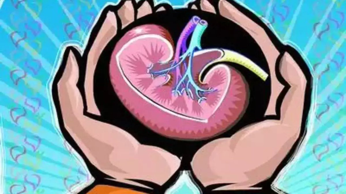 Nephrology19's tweet photo. #Mahatma #Gandhi #Hospital performs six swap #kidney #transplants in a day
Read more: https://t.co/VFJhLpvtdd
share your paper on: https://t.co/uFta6NqzyE
#oain
#manuscript
#research  
#kidney #transplant
#India https://t.co/7wII5gHD3Y