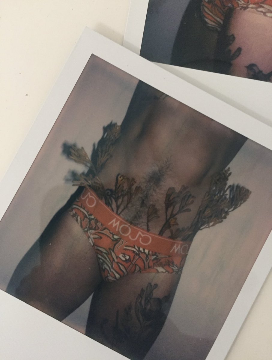 Always wanting to get into my pants <a href="/bloomboymelb/">BLOOM BOY</a> 😂 itchy fucking Kangaroo Paw